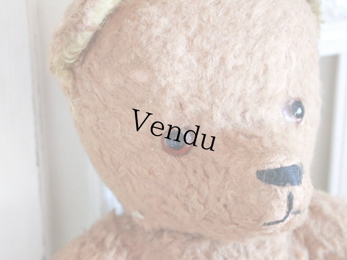 画像4: Antique French Bear/15in/France (4)