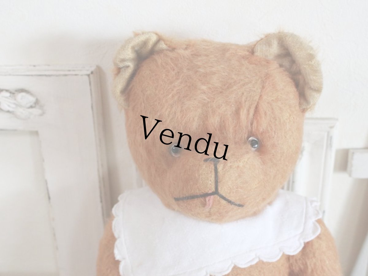 画像4: Antique French Bear/17 1/2in/France (4)
