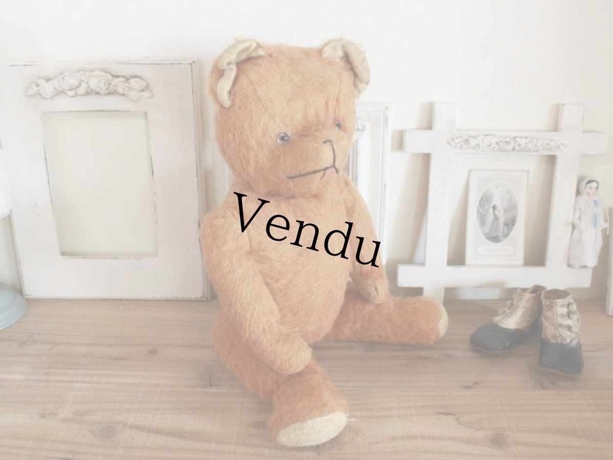 画像10: Antique French Bear/17 1/2in/France (10)