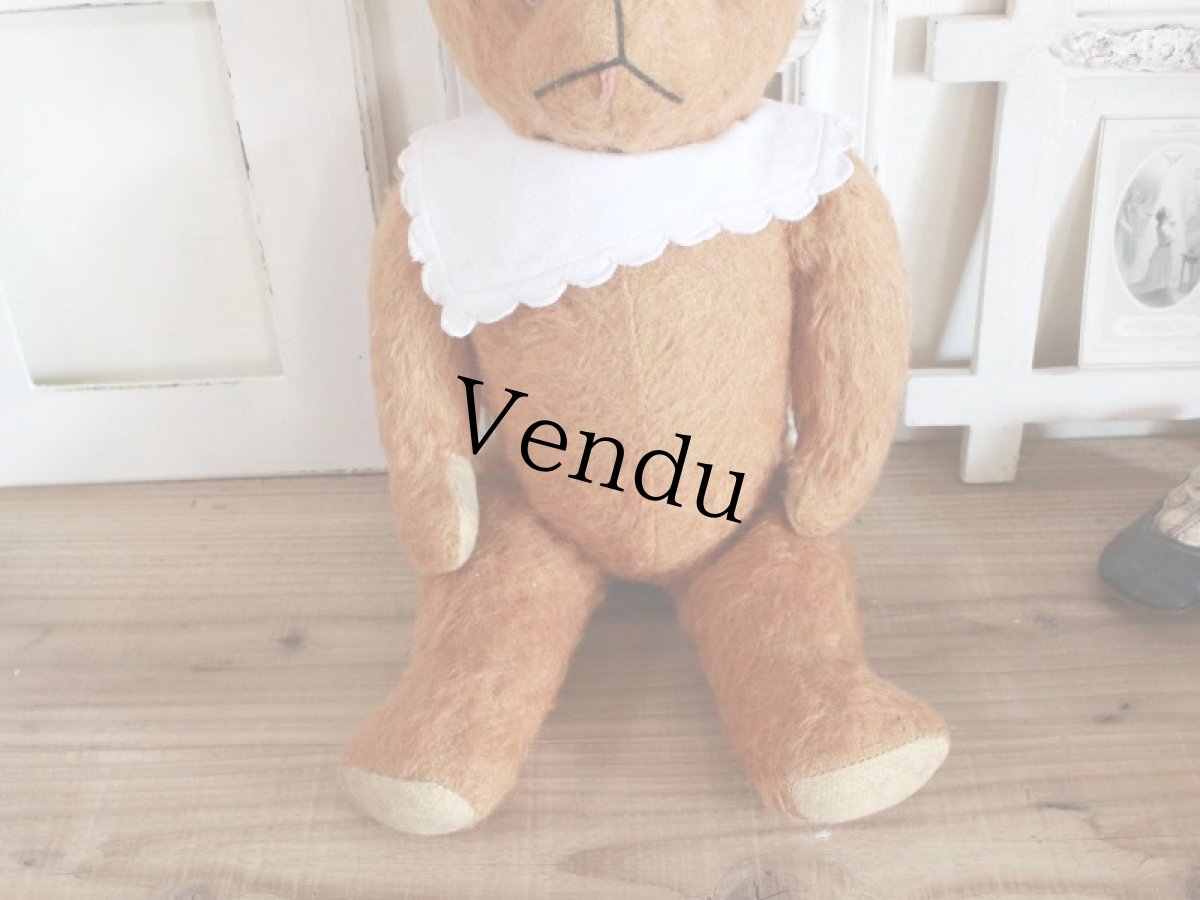 画像5: Antique French Bear/17 1/2in/France (5)
