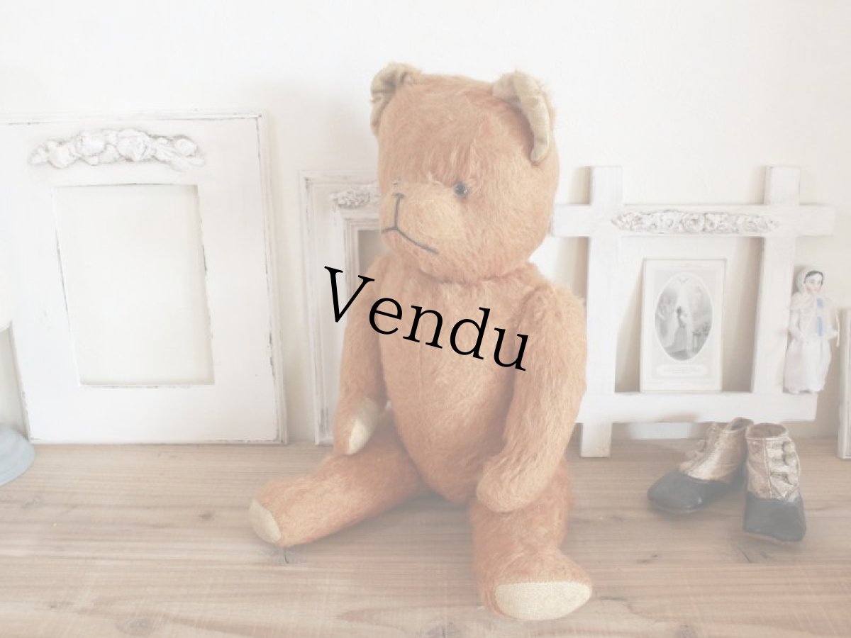 画像9: Antique French Bear/17 1/2in/France (9)