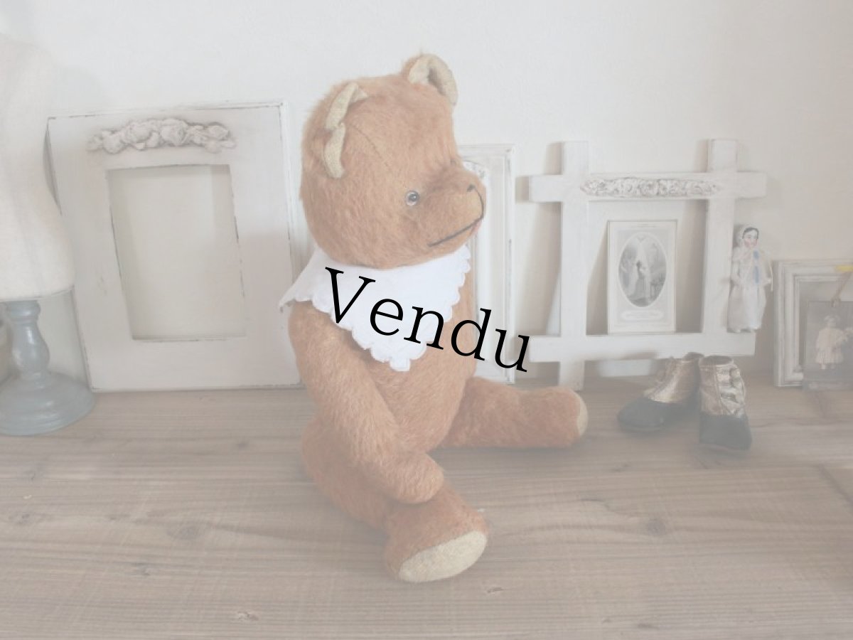 画像6: Antique French Bear/17 1/2in/France (6)