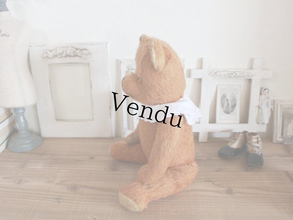画像7: Antique French Bear/17 1/2in/France (7)