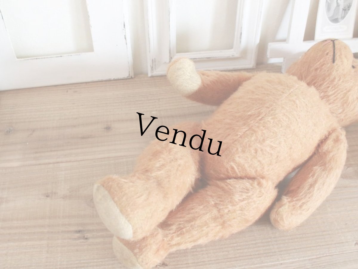 画像11: Antique French Bear/17 1/2in/France (11)