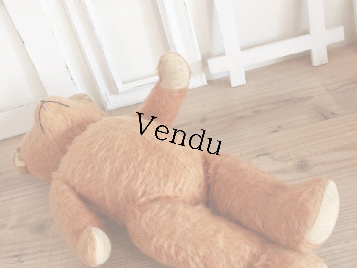 画像12: Antique French Bear/17 1/2in/France (12)