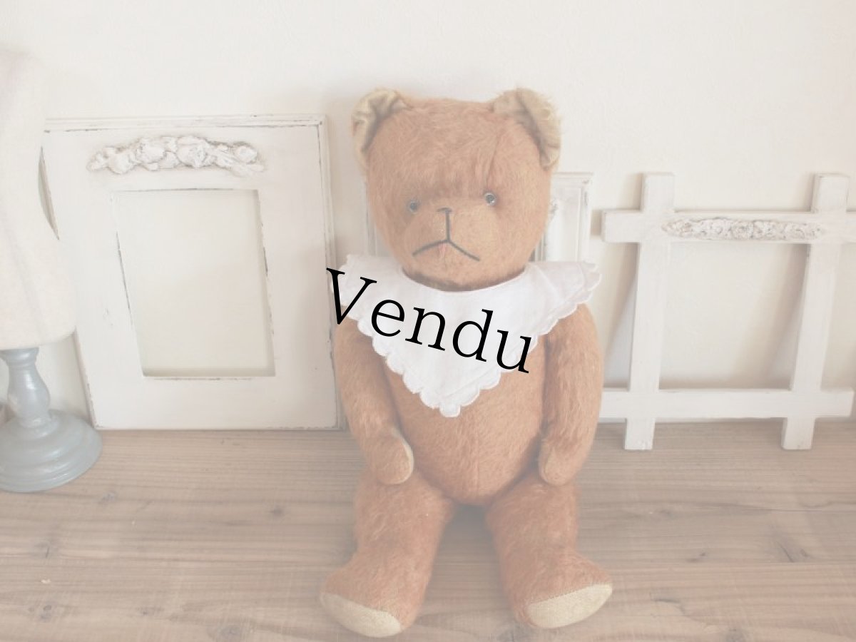 画像13: Antique French Bear/17 1/2in/France (13)