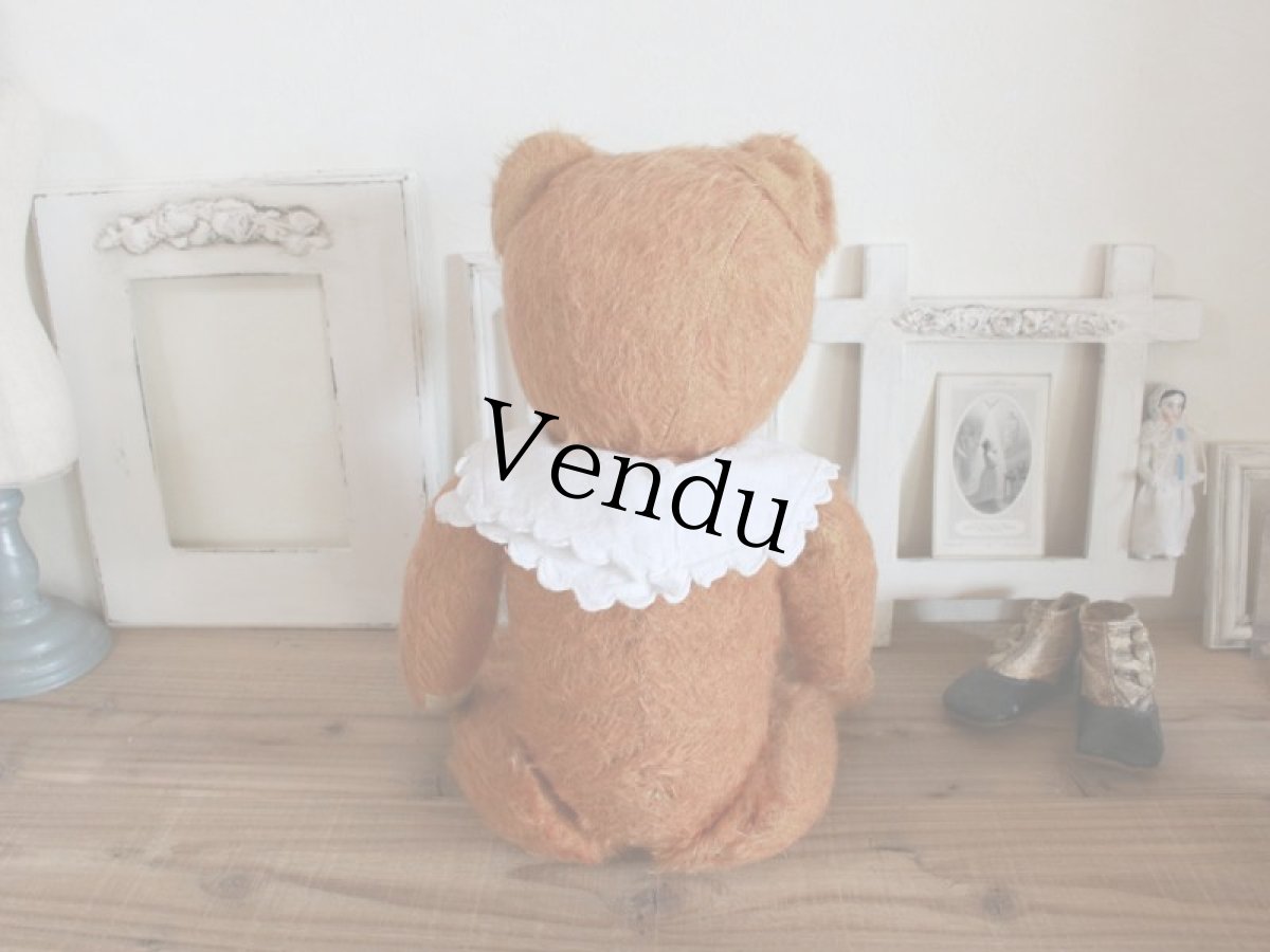 画像8: Antique French Bear/17 1/2in/France (8)