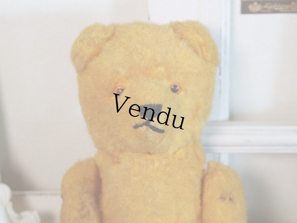 画像4: Antique French Bear/12 1/2in/France (4)