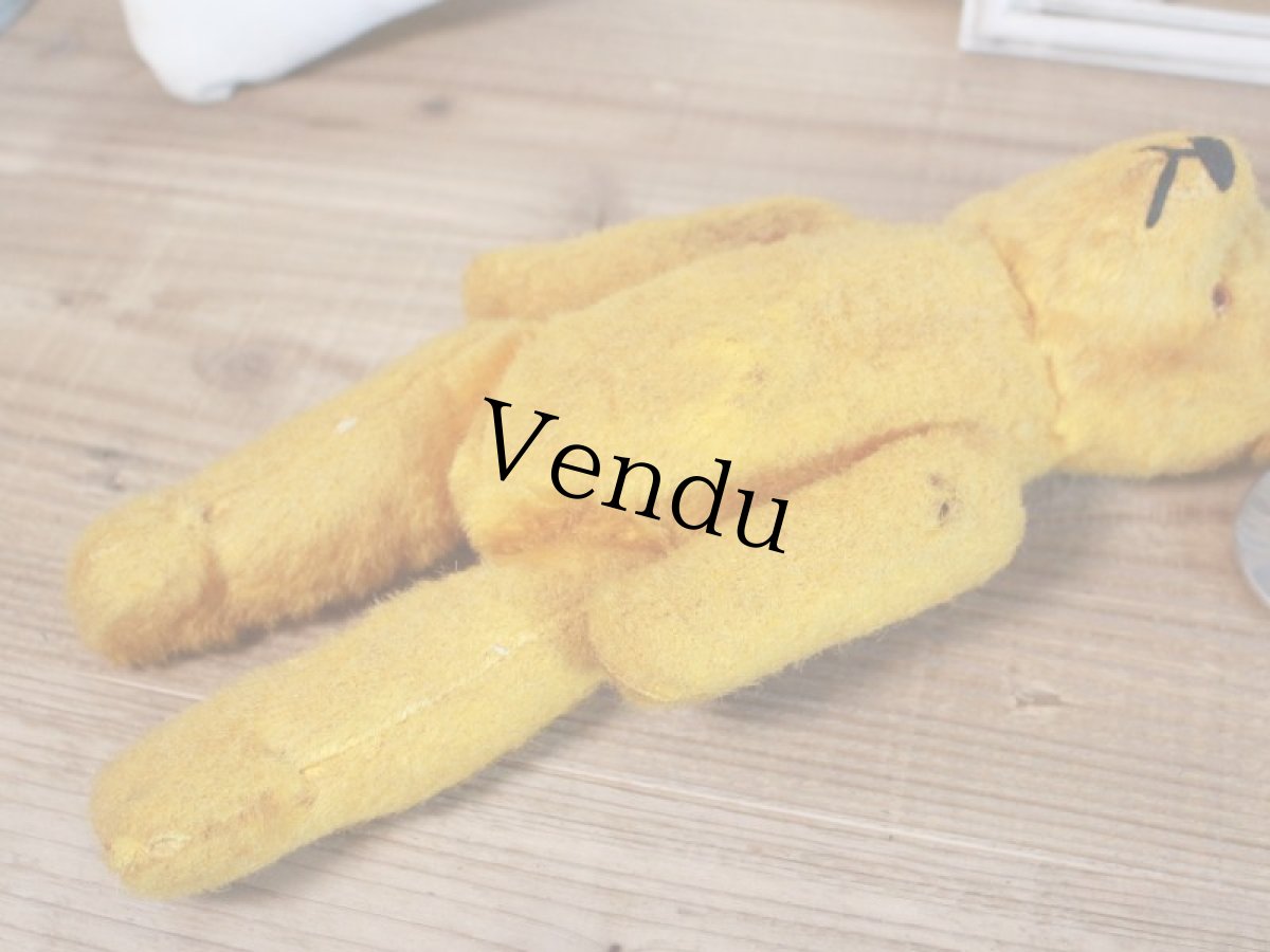 画像11: Antique French Bear/12 1/2in/France (11)