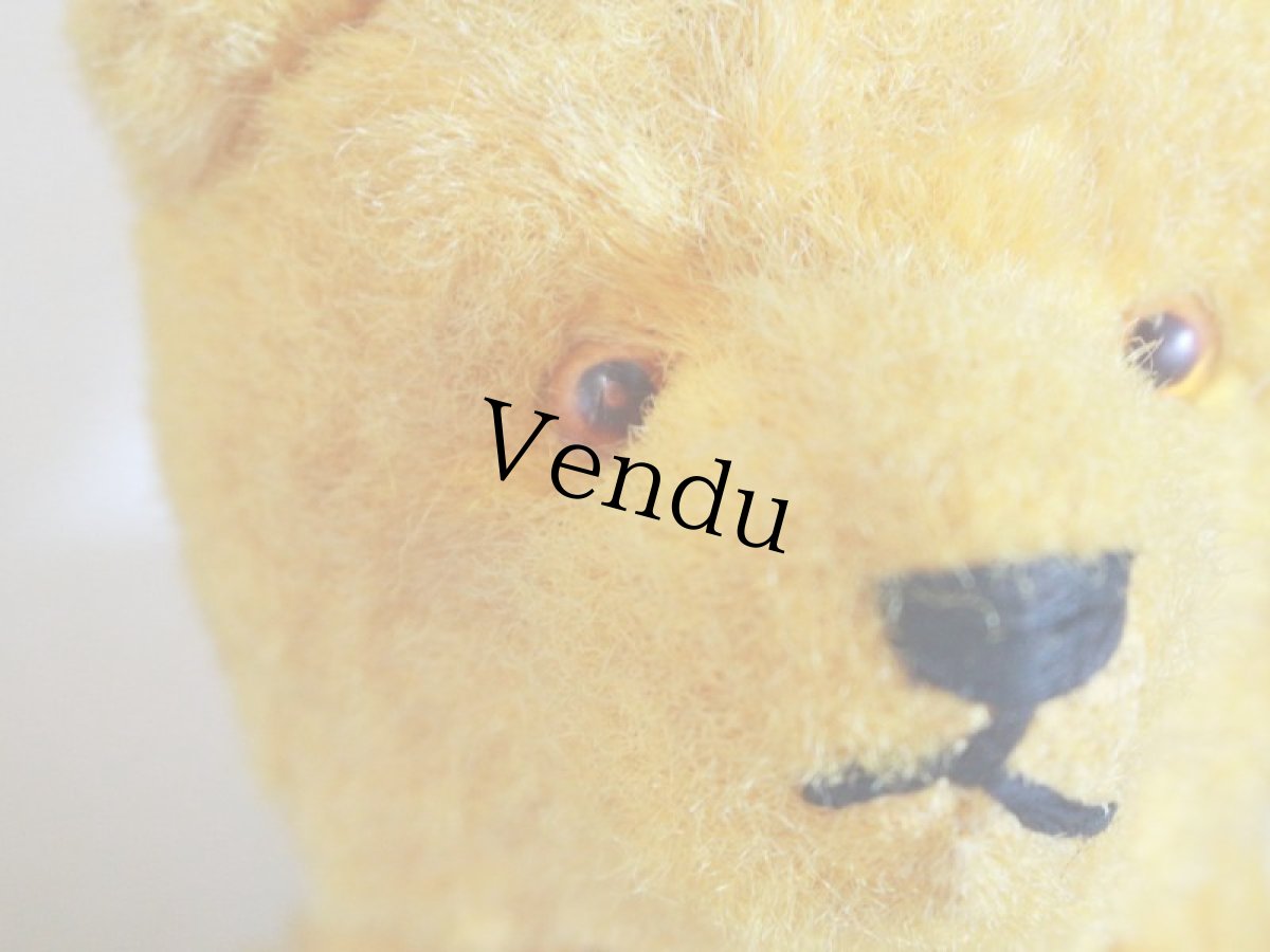 画像6: Antique French Bear/12 1/2in/France (6)