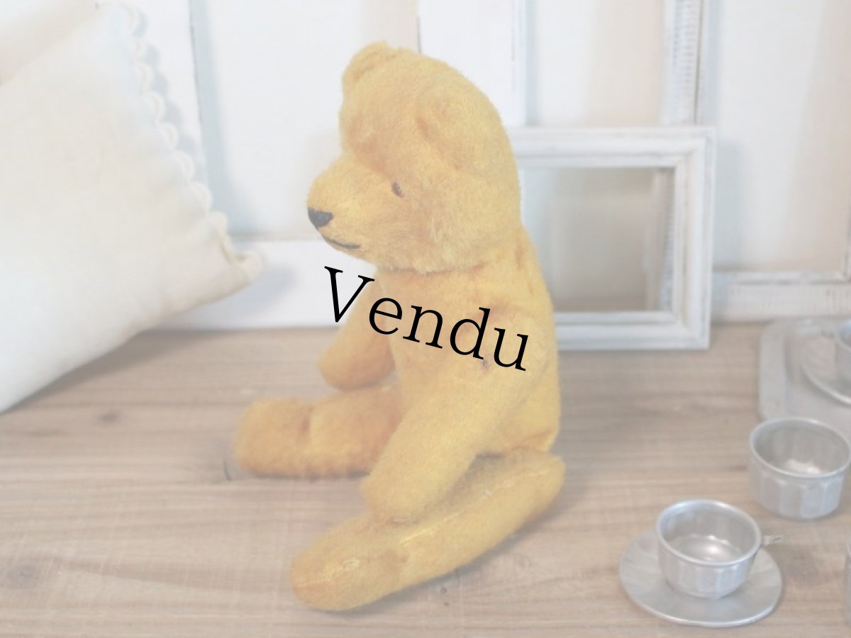 画像10: Antique French Bear/12 1/2in/France (10)