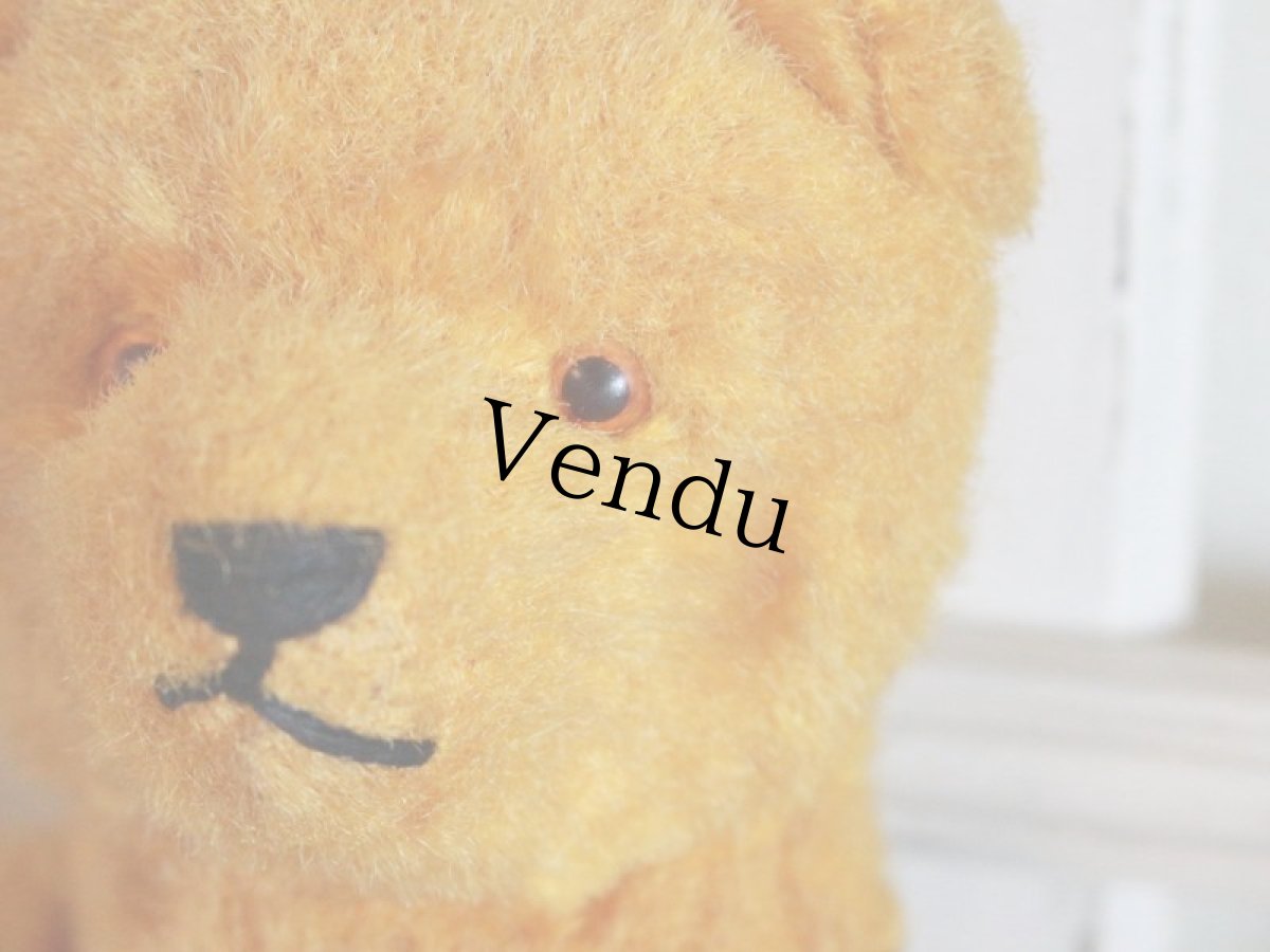 画像5: Antique French Bear/12 1/2in/France (5)