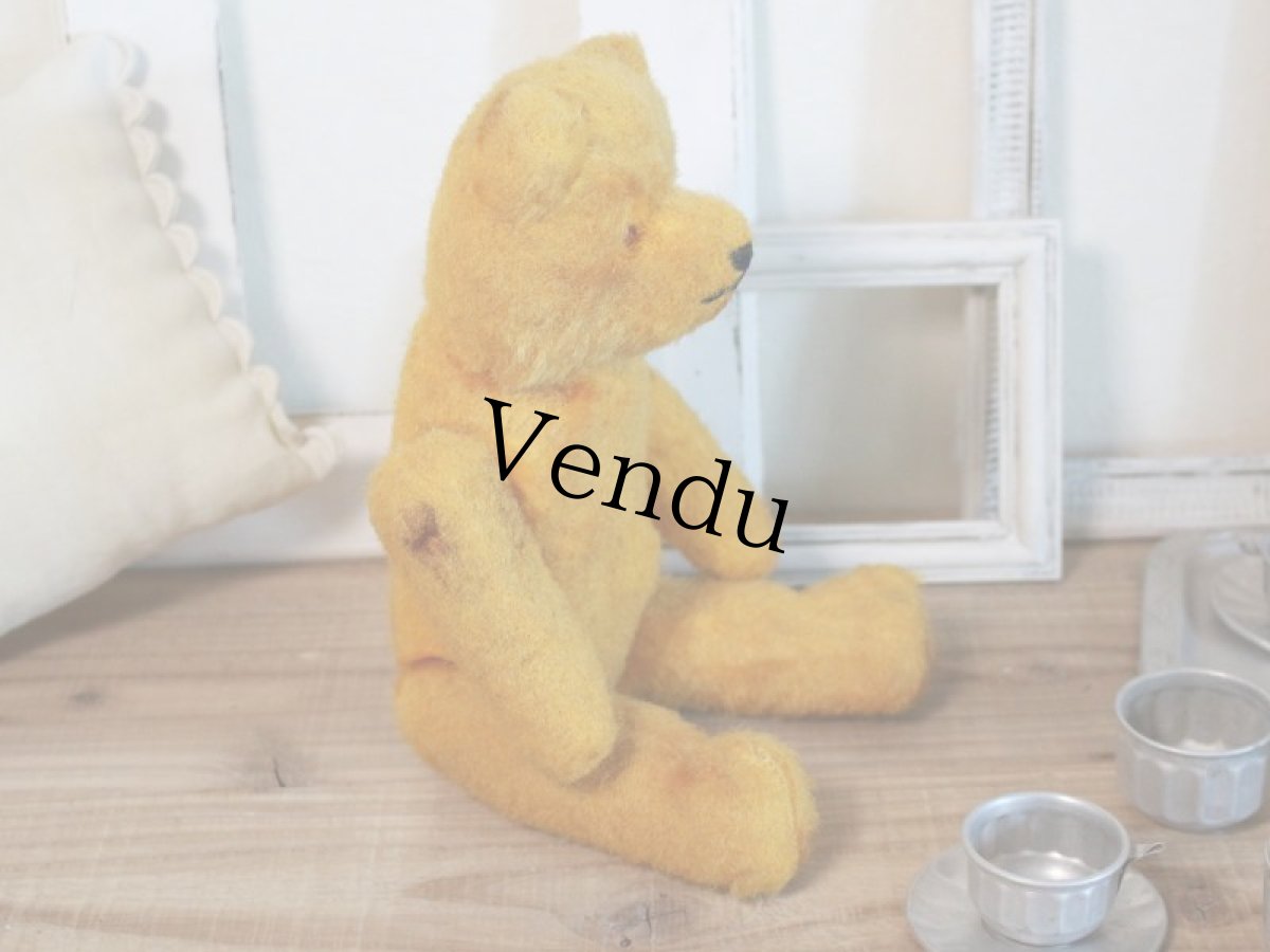 画像8: Antique French Bear/12 1/2in/France (8)