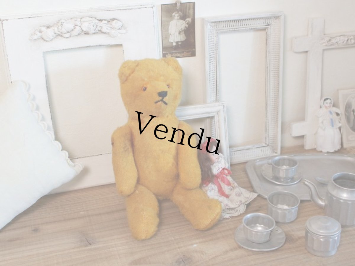 画像13: Antique French Bear/12 1/2in/France (13)