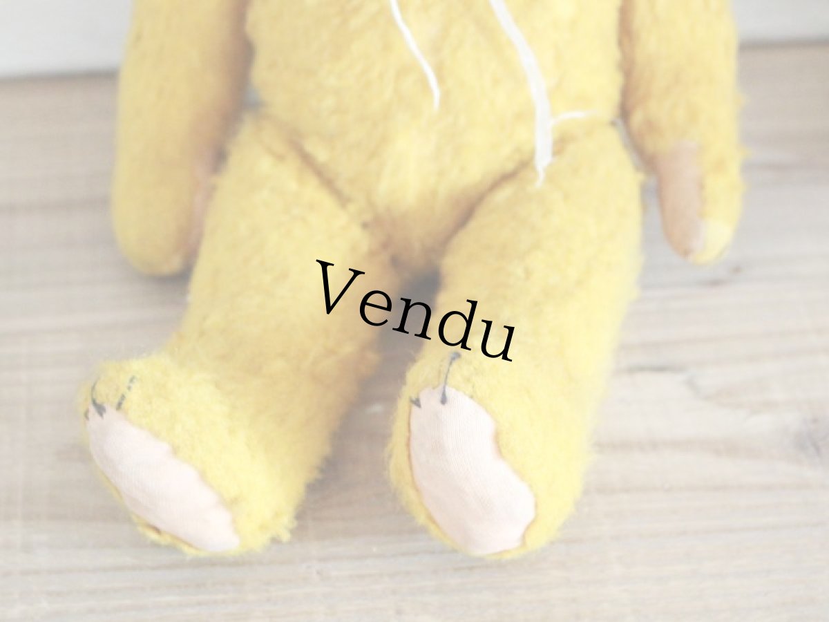 画像6: Antique French Bear/15in/France (6)