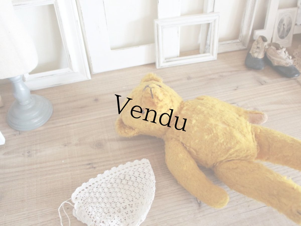 画像11: Antique French Bear/15in/France (11)