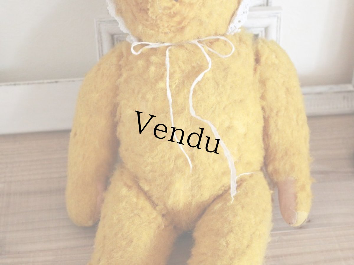 画像5: Antique French Bear/15in/France (5)