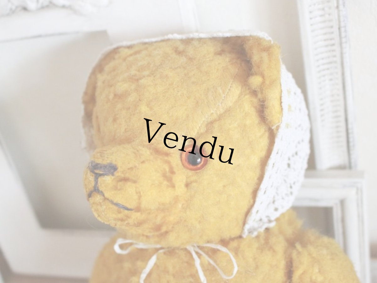 画像4: Antique French Bear/15in/France (4)