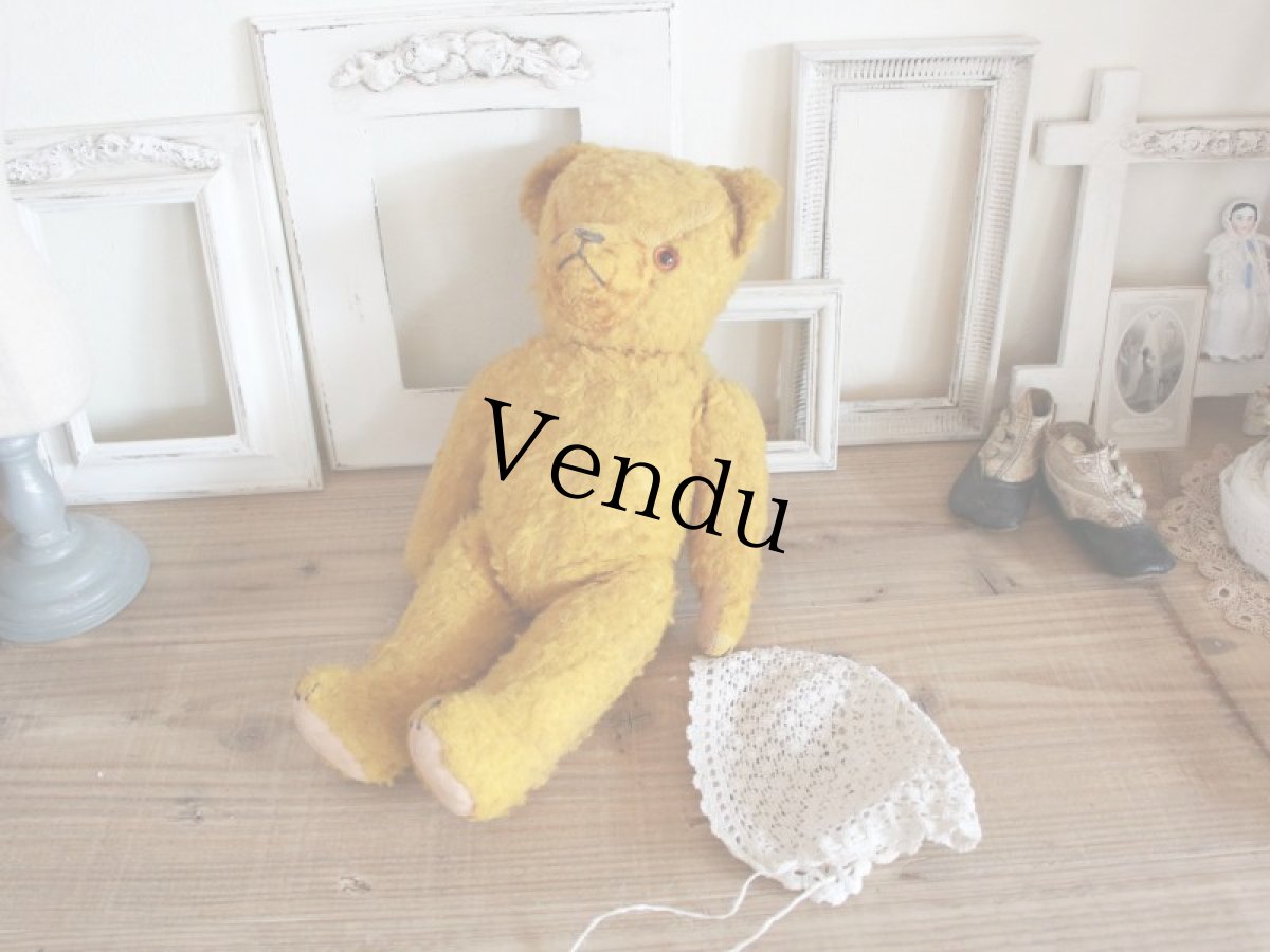 画像10: Antique French Bear/15in/France (10)