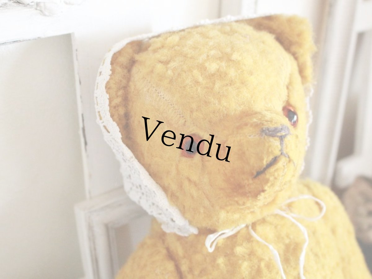 画像3: Antique French Bear/15in/France (3)