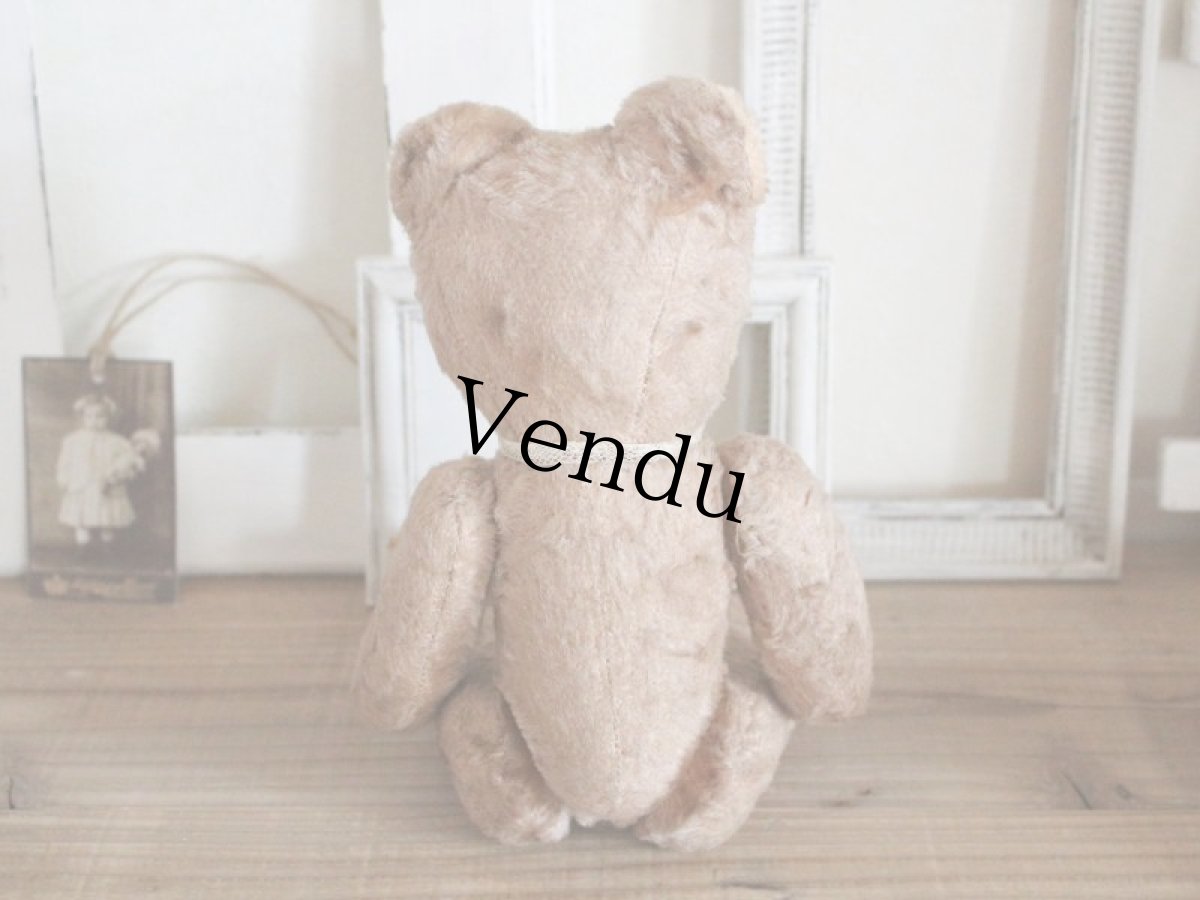 画像5: Antique French Bear/12in/France (5)