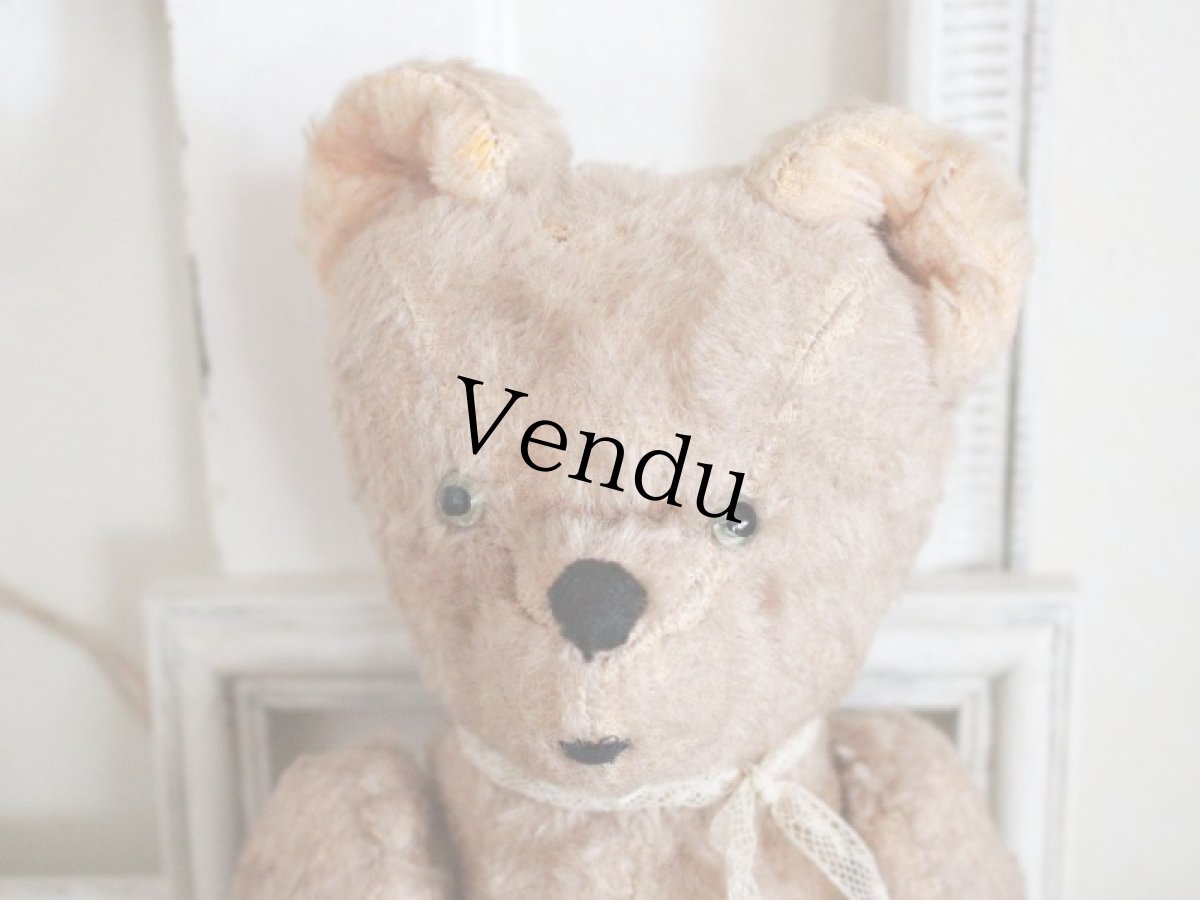 画像2: Antique French Bear/12in/France (2)