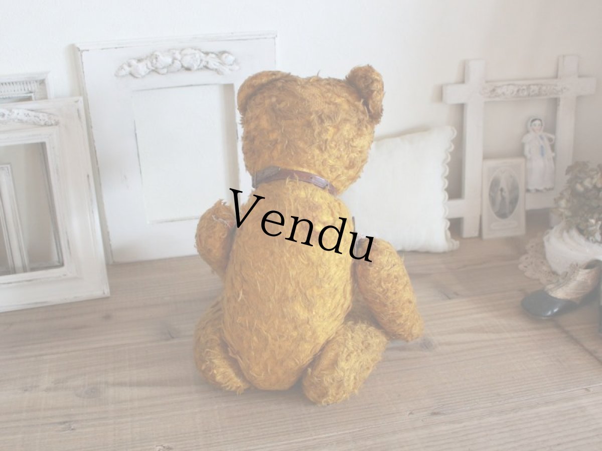 画像6: Antique Shabby Old Bear/18 1/2in/France (6)