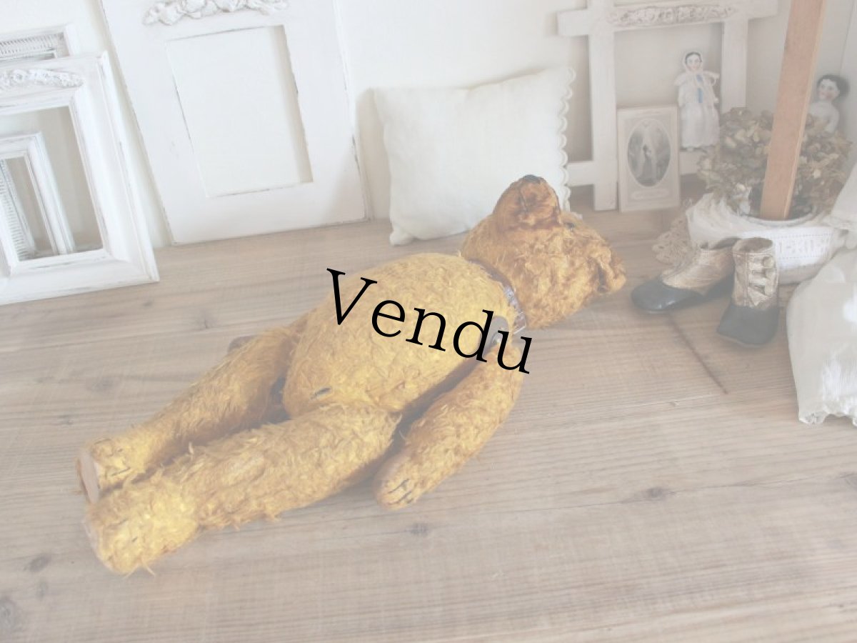 画像9: Antique Shabby Old Bear/18 1/2in/France (9)