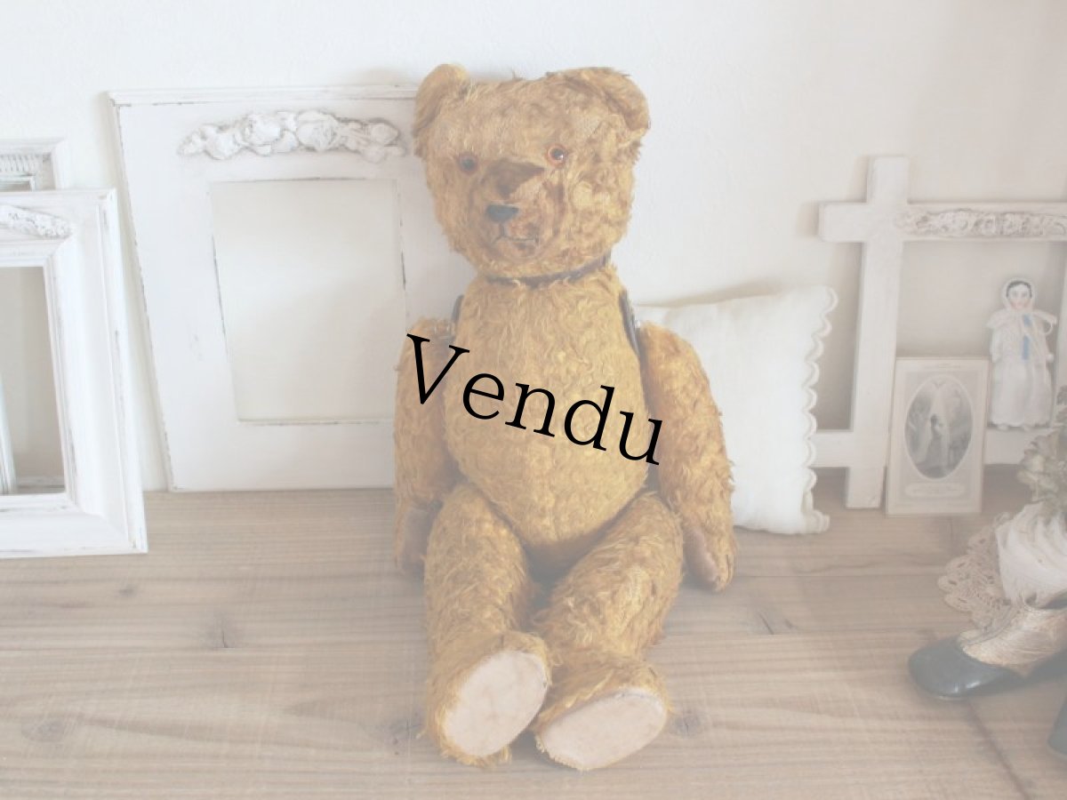 画像10: Antique Shabby Old Bear/18 1/2in/France (10)