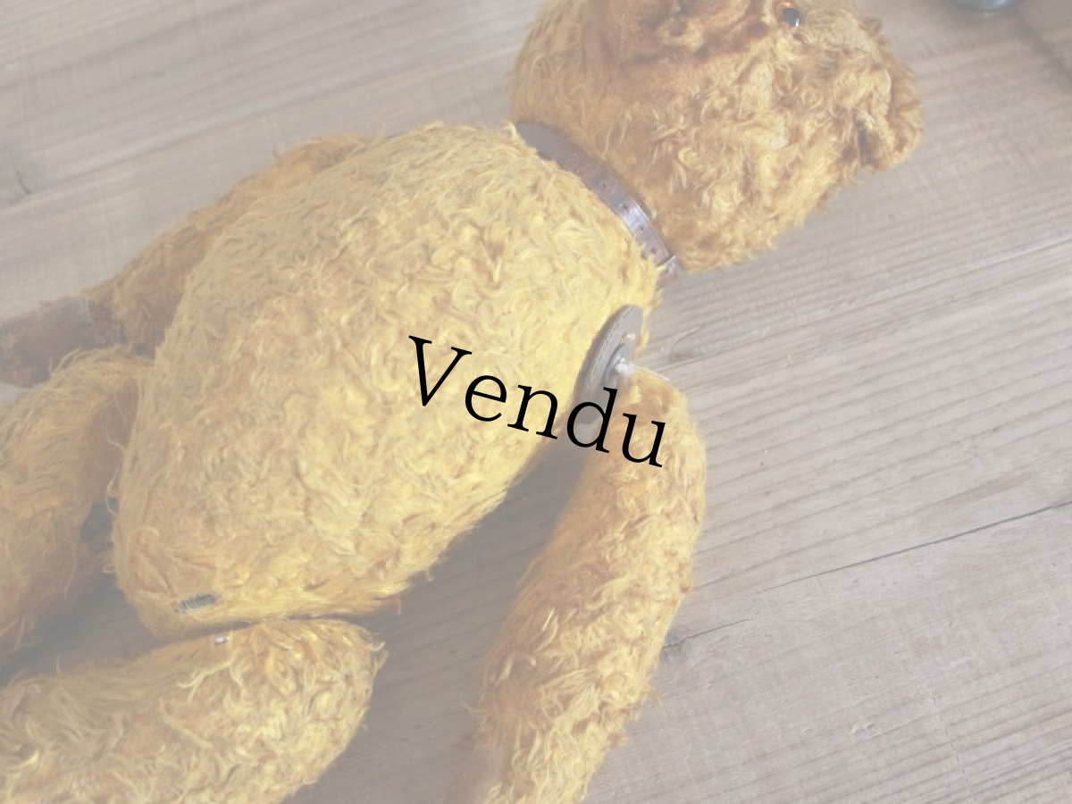 画像8: Antique Shabby Old Bear/18 1/2in/France (8)