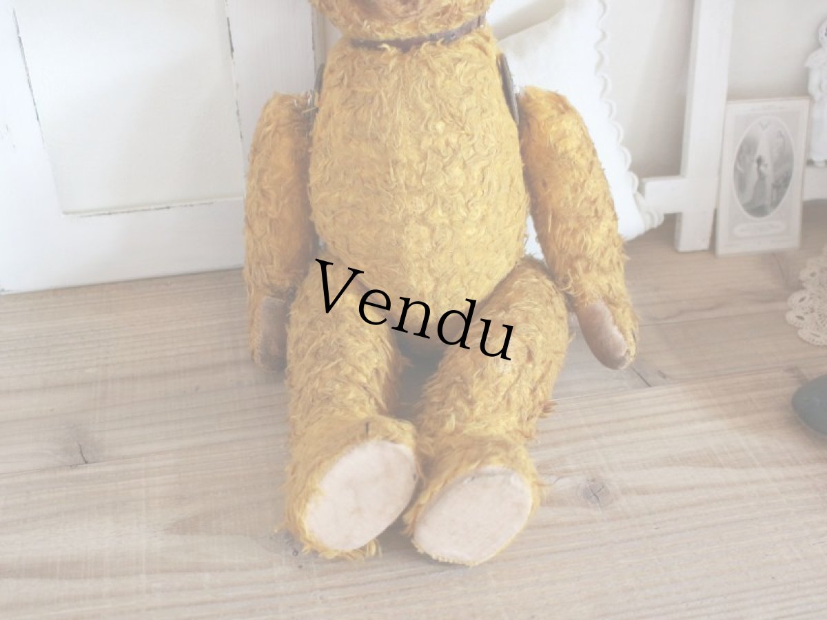 画像3: Antique Shabby Old Bear/18 1/2in/France (3)