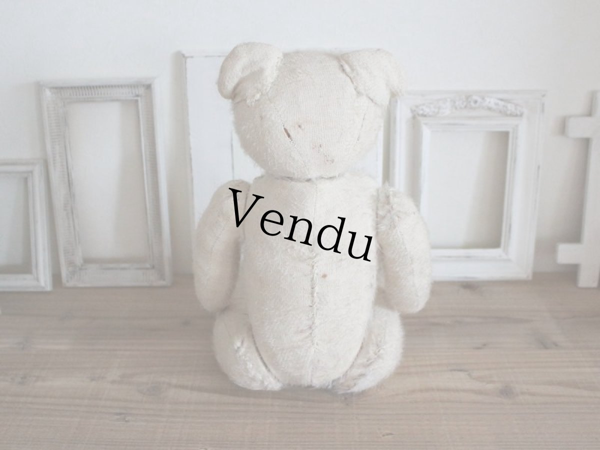 画像11: RARE!! Antique French White Bear / 17 1/2in/ France (11)