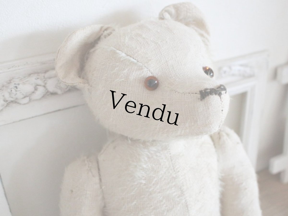 画像4: RARE!! Antique French White Bear / 17 1/2in/ France (4)