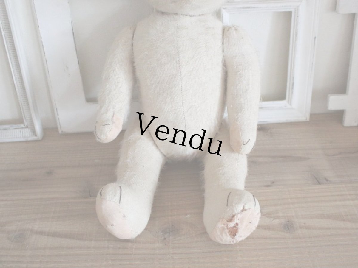 画像7: RARE!! Antique French White Bear / 17 1/2in/ France (7)