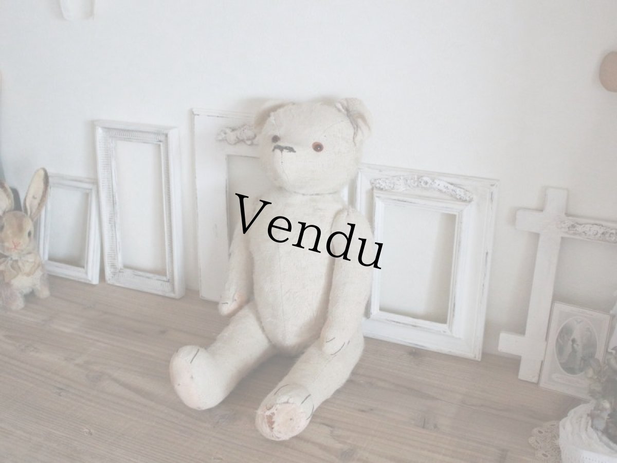 画像2: RARE!! Antique French White Bear / 17 1/2in/ France (2)