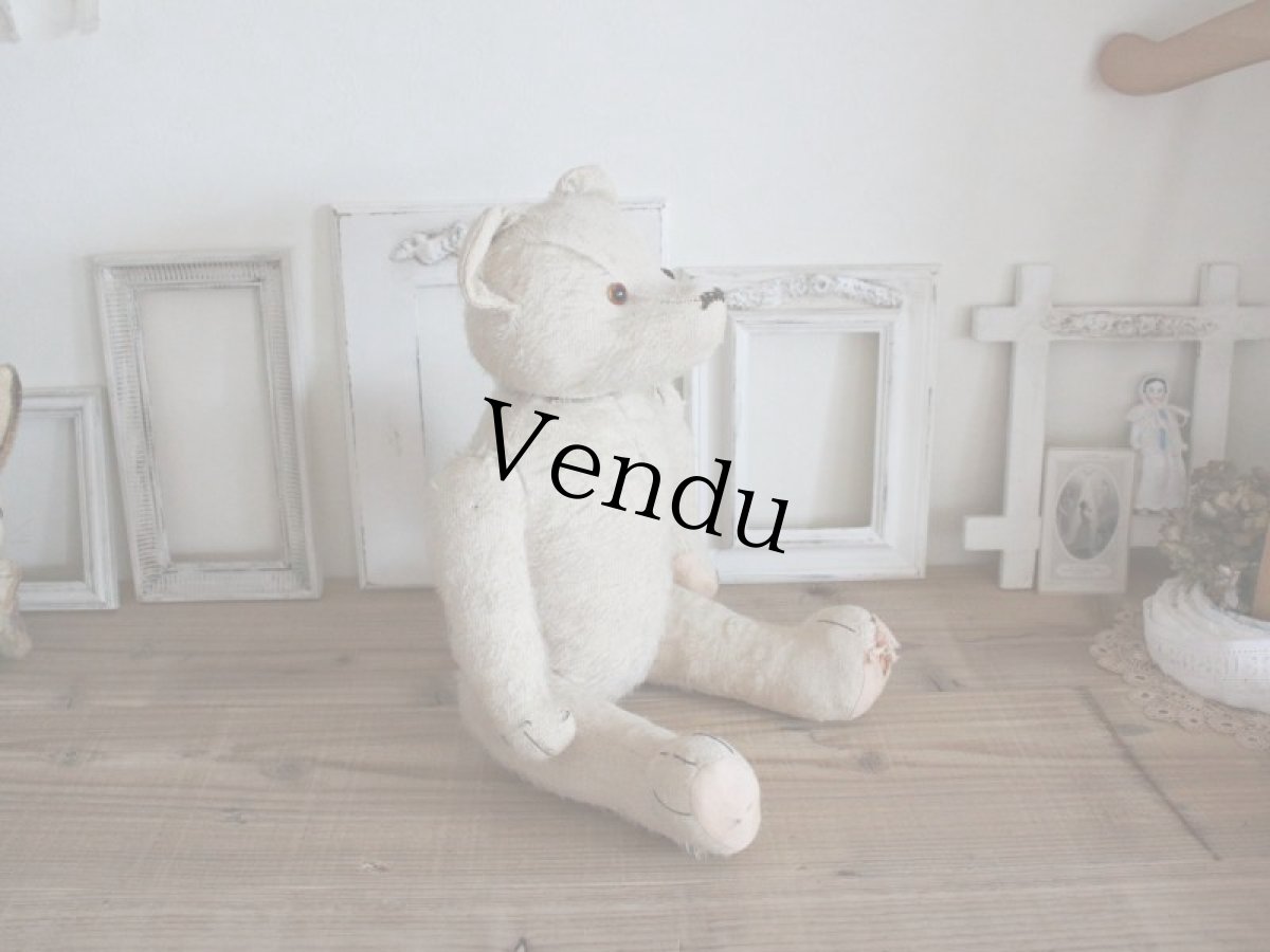 画像13: RARE!! Antique French White Bear / 17 1/2in/ France (13)