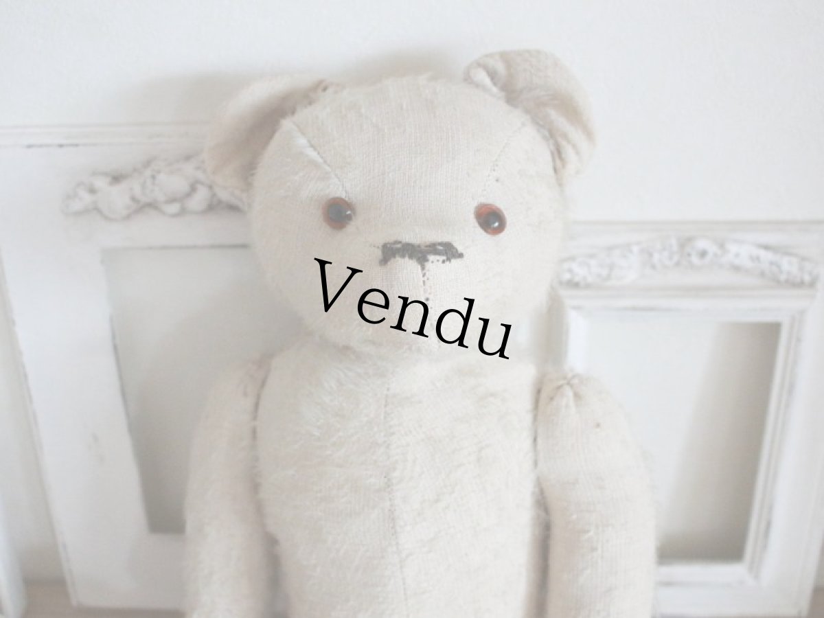 画像6: RARE!! Antique French White Bear / 17 1/2in/ France (6)