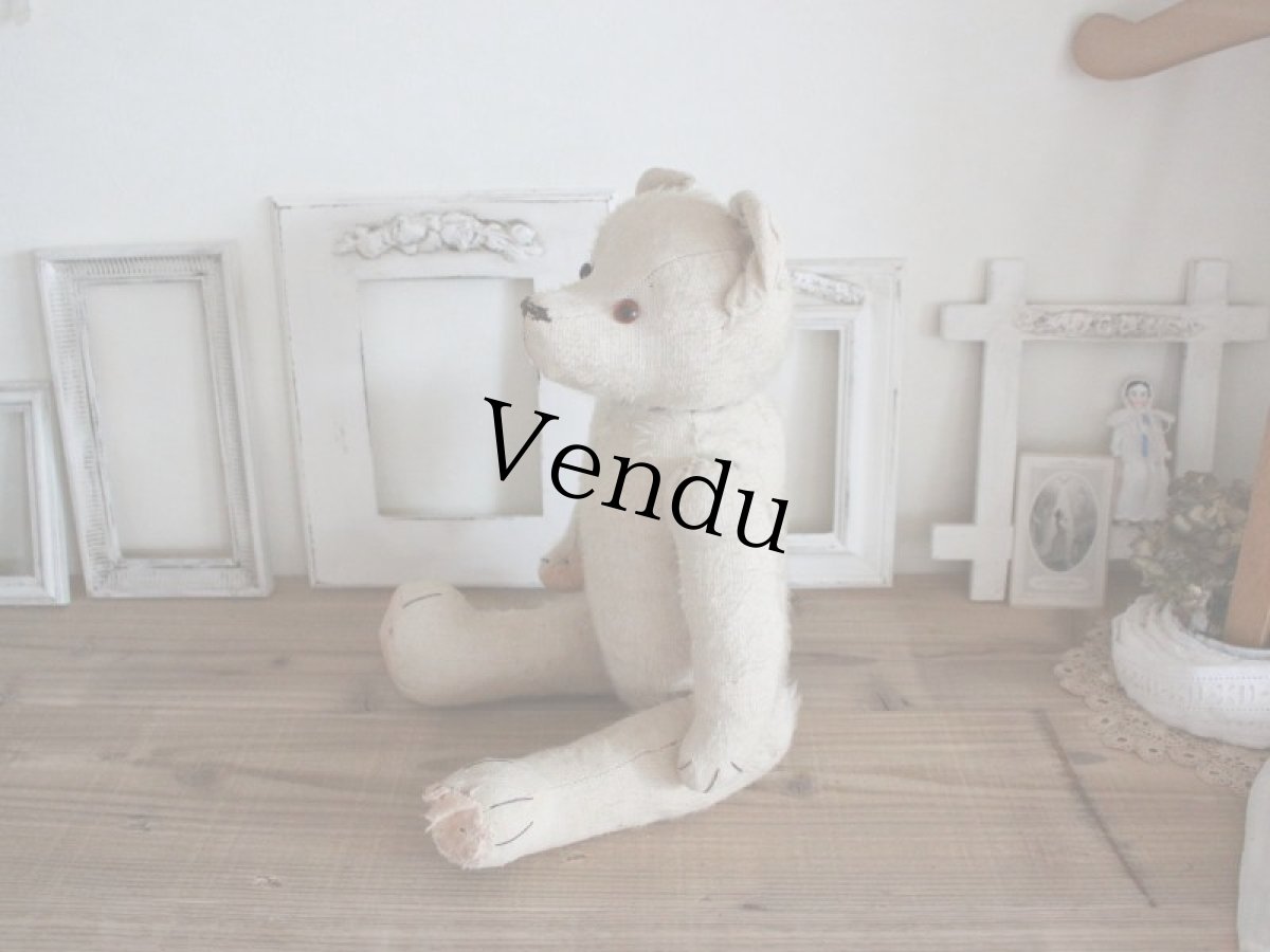 画像14: RARE!! Antique French White Bear / 17 1/2in/ France (14)