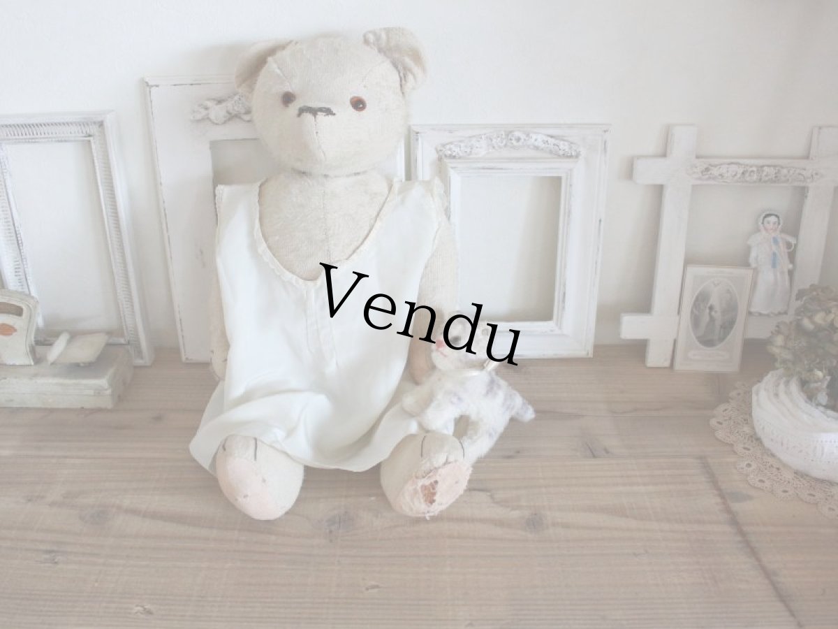 画像11: Antique Steiff Tabby B /Germany (11)