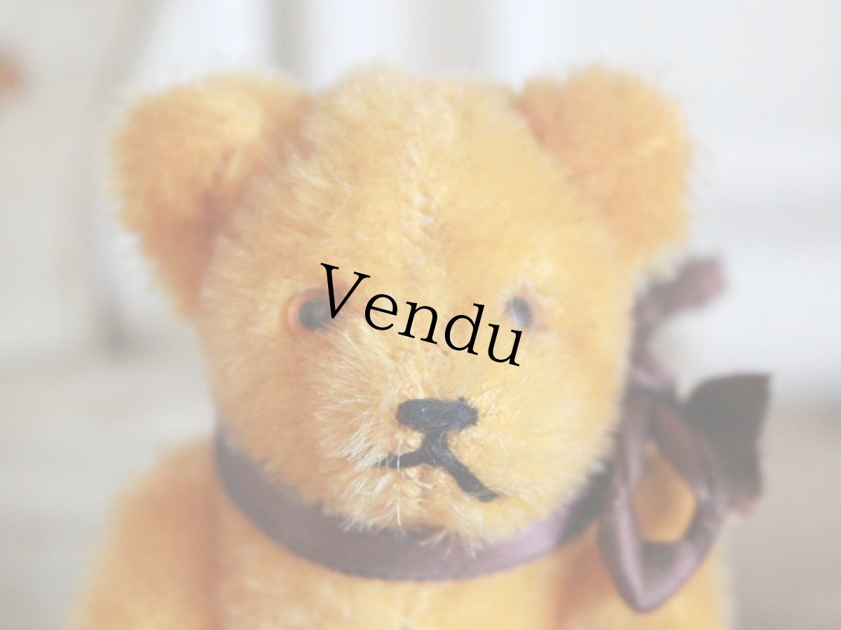 画像8: Antique Mini Berg Bear / 4 1/2in / Germany (8)