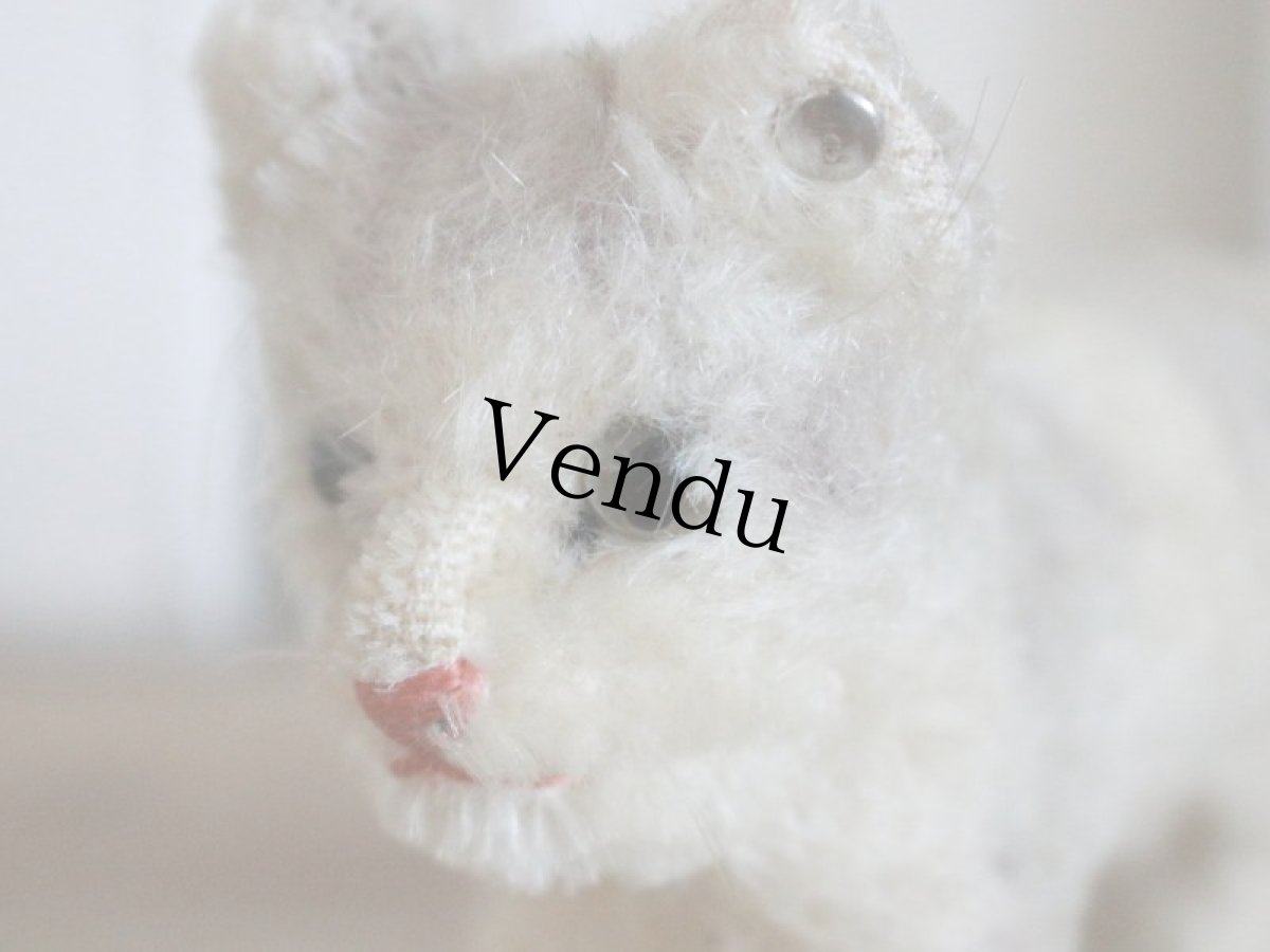 画像6: Antique Steiff Tabby A /Germany (6)