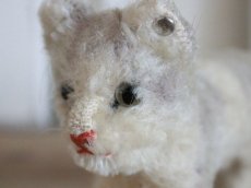 画像6: Antique Steiff Tabby A /Germany (6)