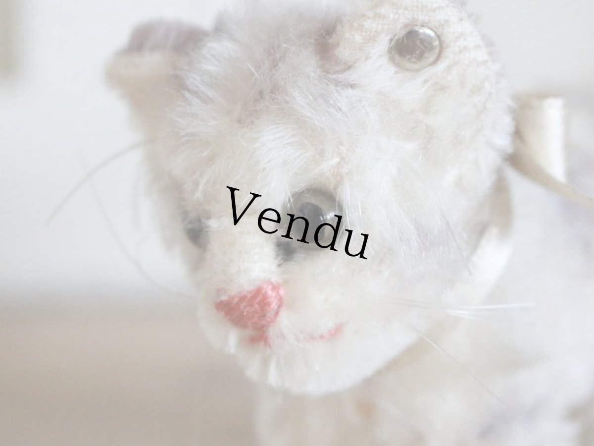 画像4: Antique Steiff Tabby B /Germany (4)