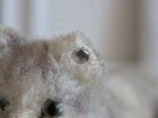 画像7: Antique Steiff Tabby A /Germany (7)