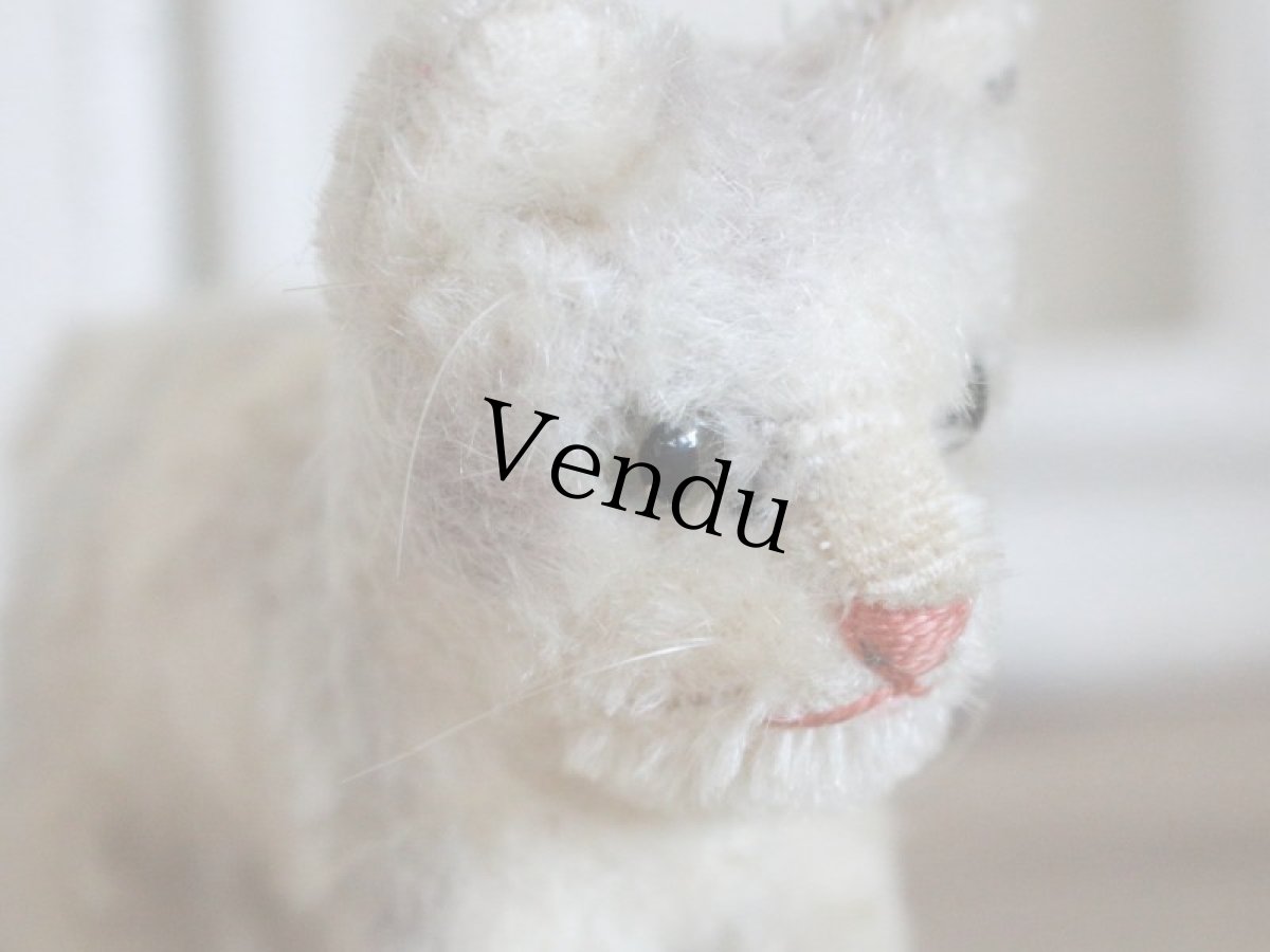 画像5: Antique Steiff Tabby A /Germany (5)