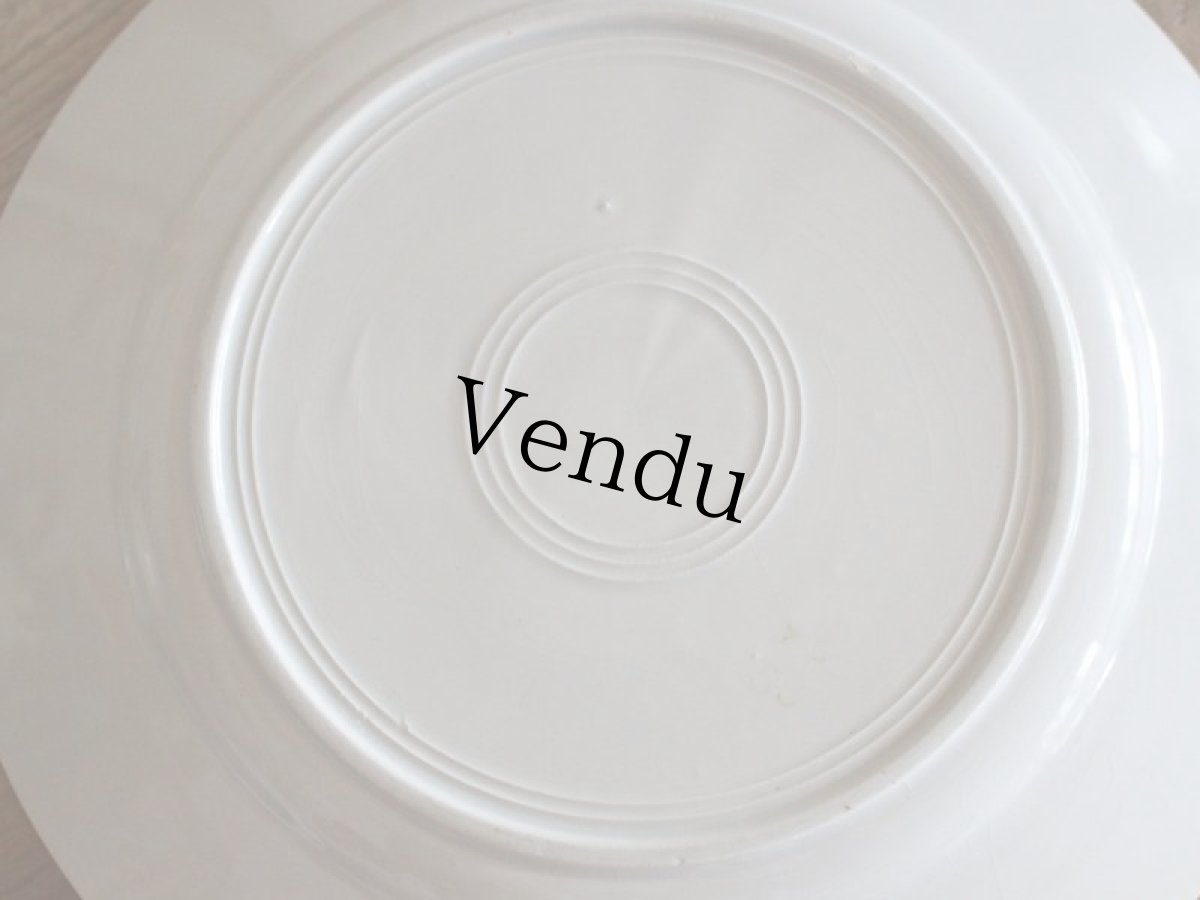 画像5: BADONVILLER ROSE Plate A/ 8 3/4in /France (5)