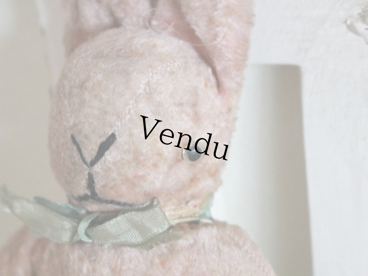 画像5: Antique Lapin / France (5)