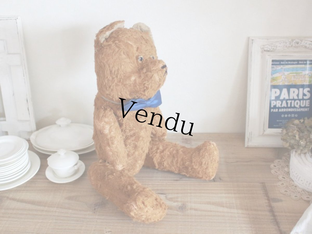 画像7: Antique French Bear / 17in /  France (7)