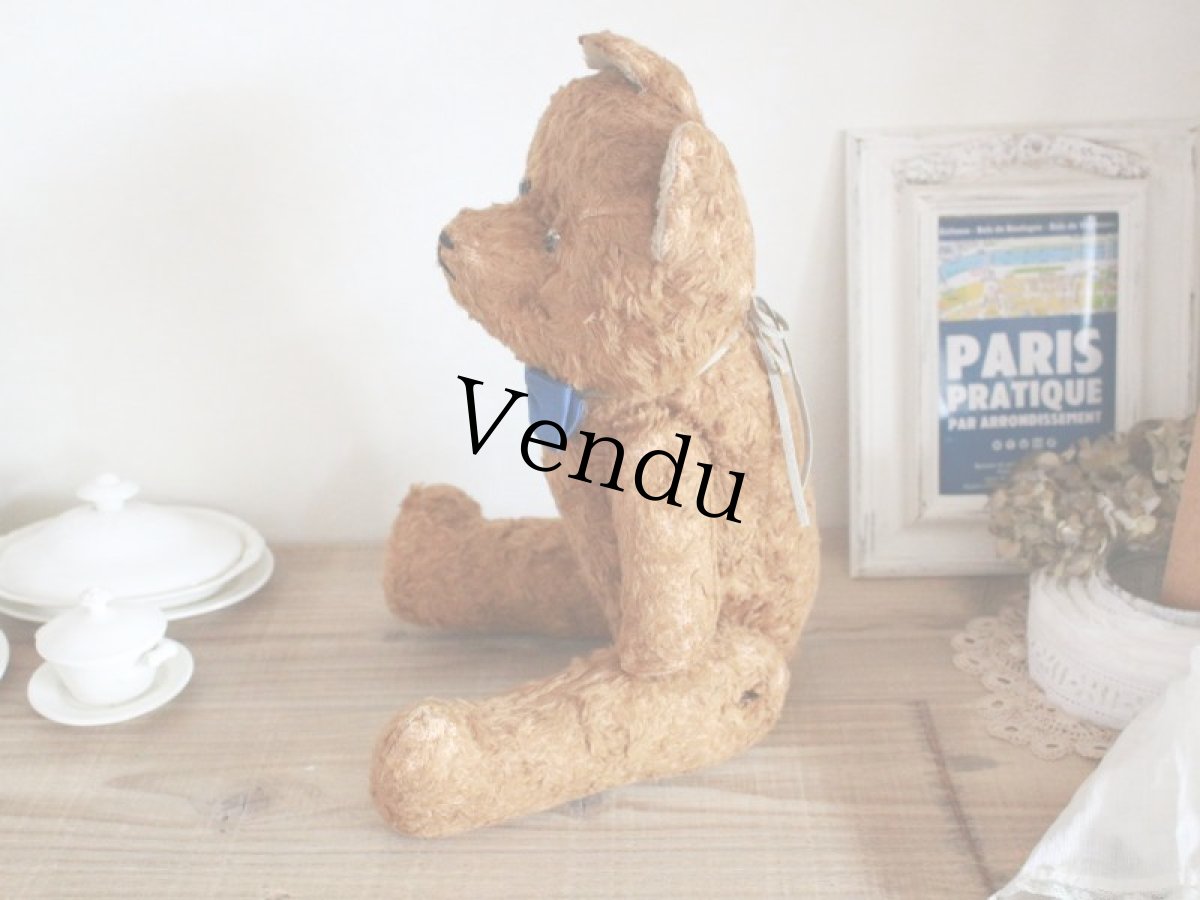 画像6: Antique French Bear / 17in /  France (6)