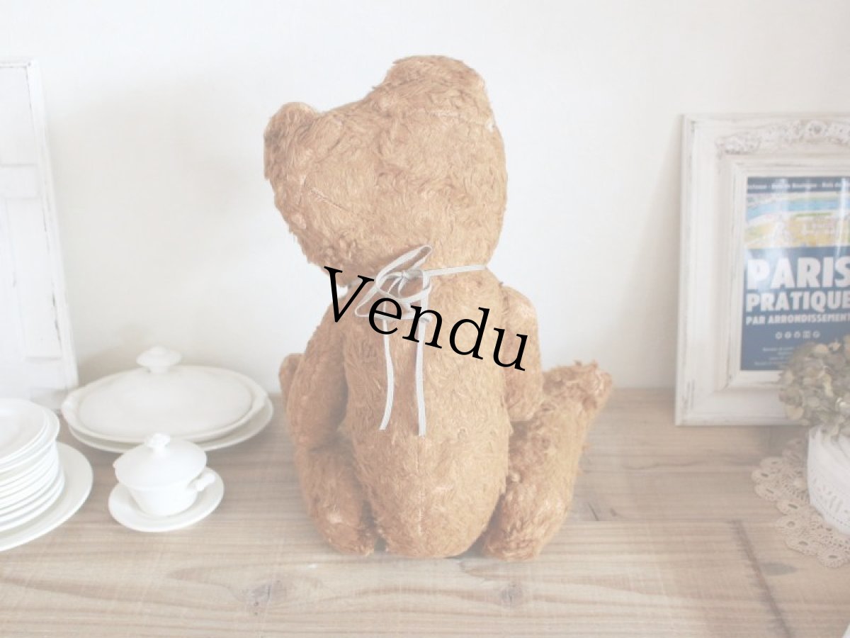 画像8: Antique French Bear / 17in /  France (8)